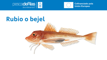 pescadeRias