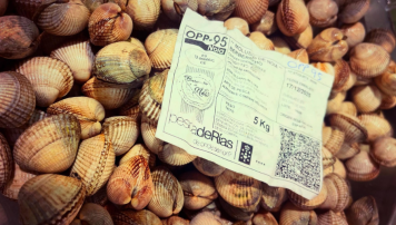 pescadeRias
