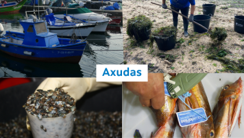 pescadeRias