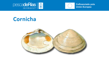pescadeRias