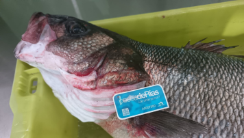 pescadeRias