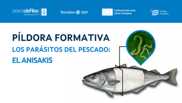 pescadeRias