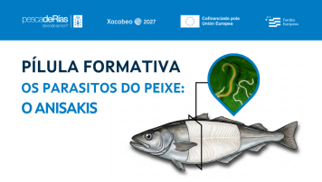 pescadeRias