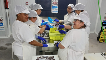pescadeRias