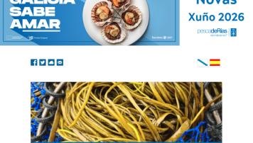pescadeRias