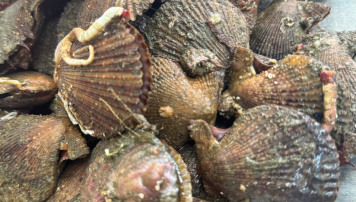 pescadeRias