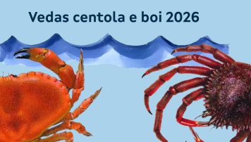 pescadeRias