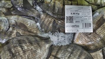 Lonxa de Ribeira, novo axente certificado