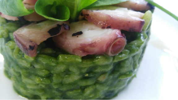 Arroz verde cremoso de raia con polbo e boletus